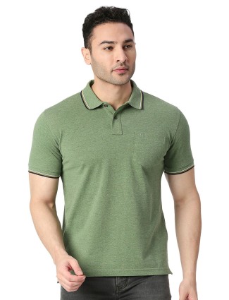 Dragon Hill sage green plain t shirt